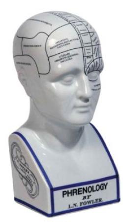 Modell Phrenologischer Kopf