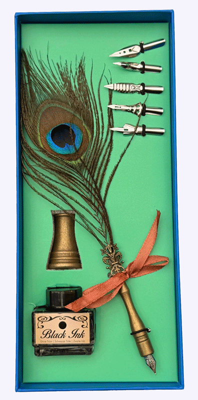 Pfauenfeder im Schreibset