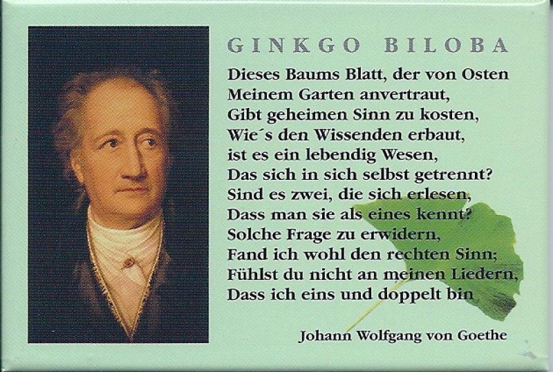 Magnet mit Ginkgo Gedicht